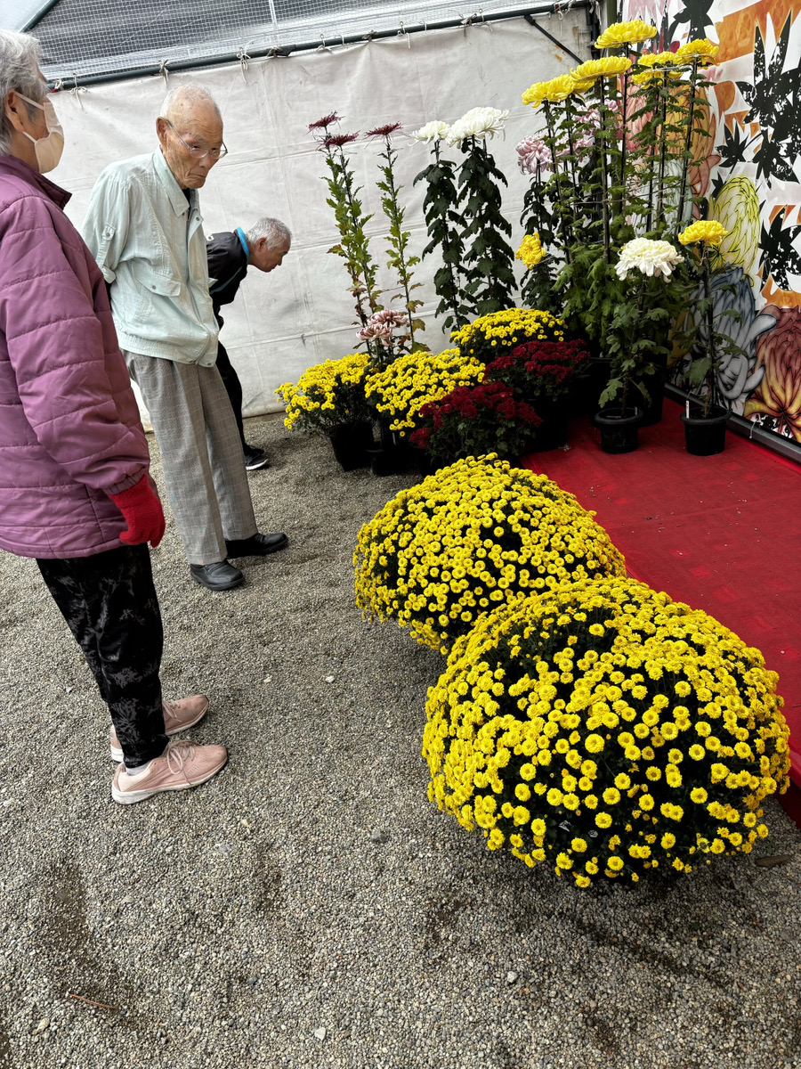 乃木神社へドライブ